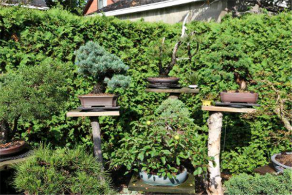 世界十大植物博物馆：纽约植物园上榜，它珍藏植物标本最多插图1