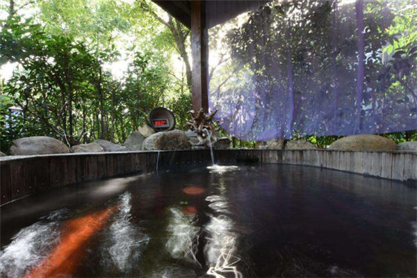 长三角十大温泉：颐舍上榜，它以史前背景为主题插图2