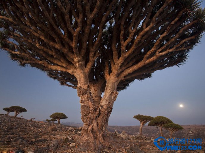 全球十大鬼斧神工的天然美景排行榜插图6