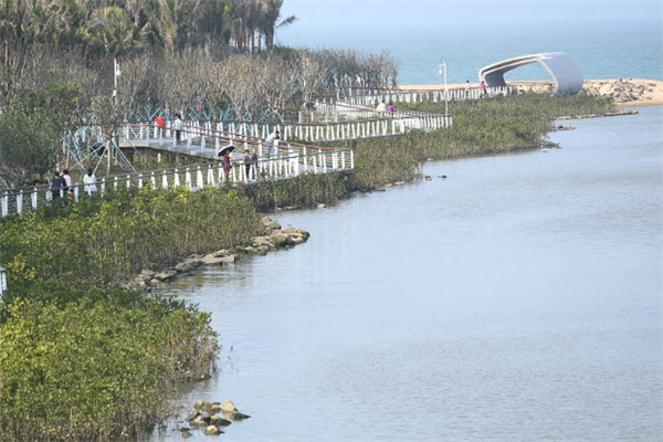 海口十大风景名胜排行榜：明昌塔上榜，第十小吃繁多插图2
