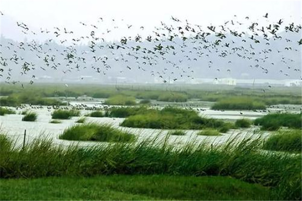 福州十大公园广场排名:西湖公园上榜，第8花海超美插图6