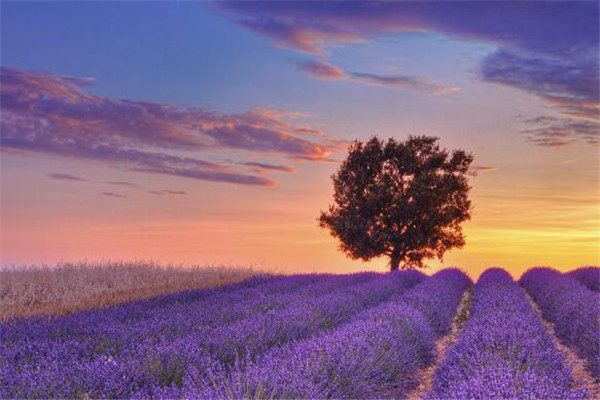 世界十大浪漫城市圣地 有生之年必去一个插图8