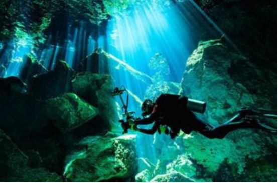 世界潜水胜地排名 魔鬼鱼村第三,椰子岛很是凶险插图7