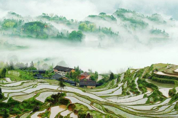 亚洲十大最美梯田:元阳梯田排第五，第一名在我国贵州境内插图6