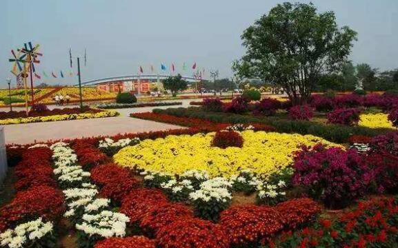 许昌好玩的地方排行榜 紫云山美到让你不想走插图7