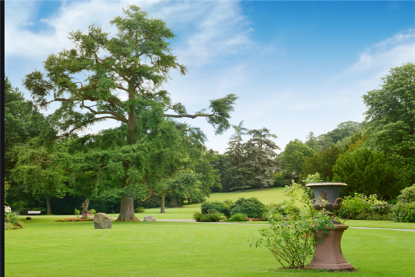 杭州十大公园排行榜：文化公园上榜，它古色古香插图8