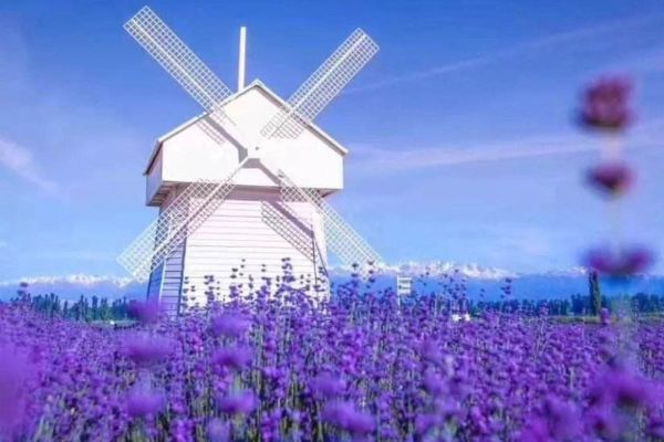 拍照必去的十大景点 故宫威严壮观稻城亚丁景色秀丽插图2