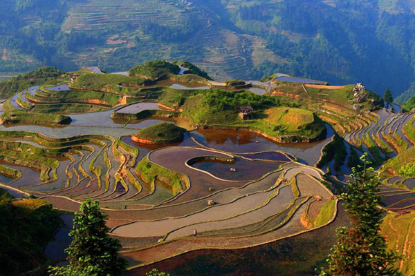 亚洲十大最美梯田:元阳梯田排第五，第一名在我国贵州境内插图7