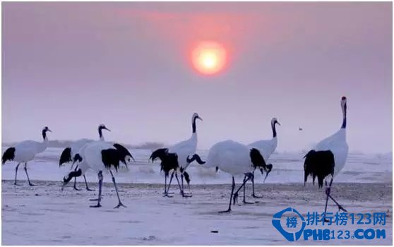 2015中国十大冰雪景观，张张美爆！插图3