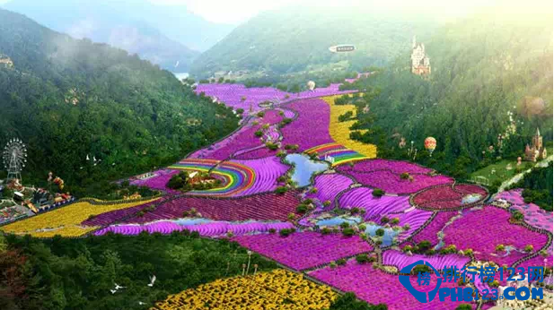 盘点全球十大最美的薰衣草花田插图4