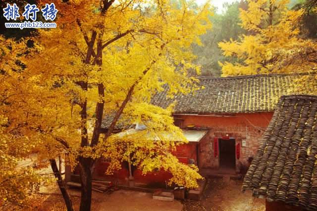 11月份适合去哪里旅游 十大11月旅游最佳去处插图8