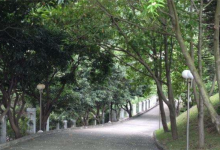 广东鹤山十大最好玩的景点：蟹眼泉上榜，第三为了纪念苏轼|爱分享