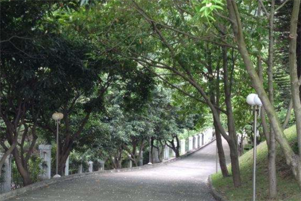 广东鹤山十大最好玩的景点：蟹眼泉上榜，第三为了纪念苏轼插图9