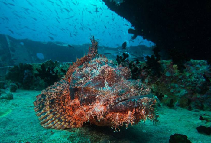 世界十大奇景 令人惊叹的景色，你去过吗插图3