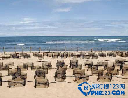 全球十大“被遗忘的天堂”插图8