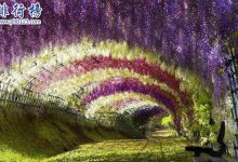 世界上十大最美的风景 天空之境第四,第七景色犹如城堡一般|爱分享