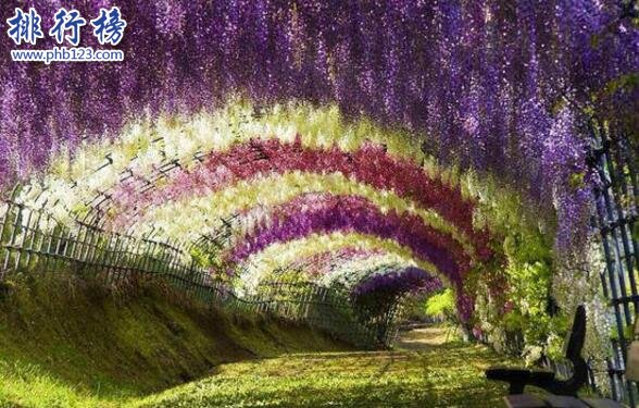 世界上十大最美的风景 天空之境第四,第七景色犹如城堡一般插图9