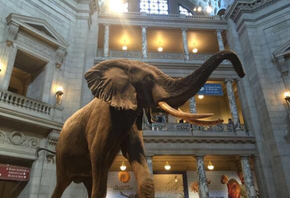 华盛顿十大景点，白宫上榜，四大馆必去插图6