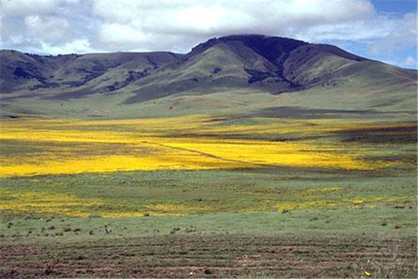 非洲最值得去的景点排行榜 金字塔与东非大裂谷都不能错过插图3