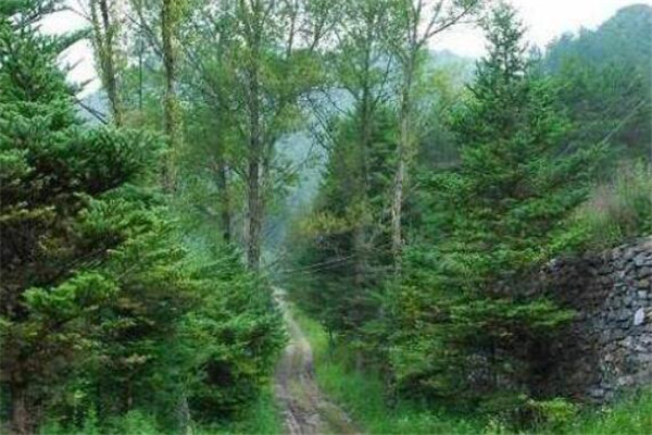 安康最好玩的地方推荐 安康好玩的地方排行榜插图8