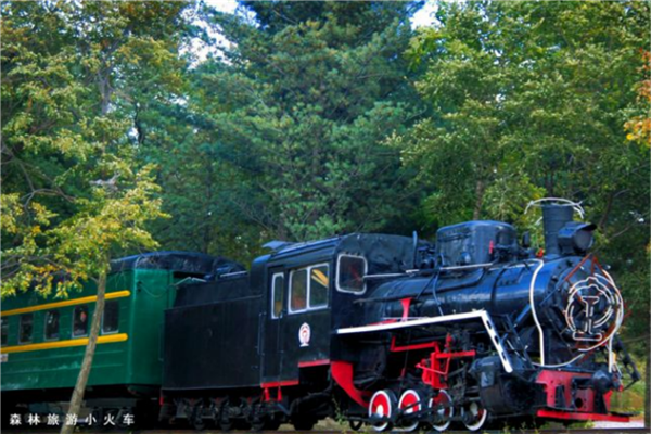 哈尔滨五大抖音热门景点 中央大街建筑风格独特美食众多插图3