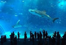 世界十大最好玩的地方 普吉岛上榜,澳大利亚大堡礁一定要去|爱分享