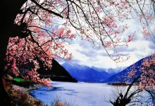 3月份适合去哪里旅游 3月份十大最佳旅游好去处|爱分享