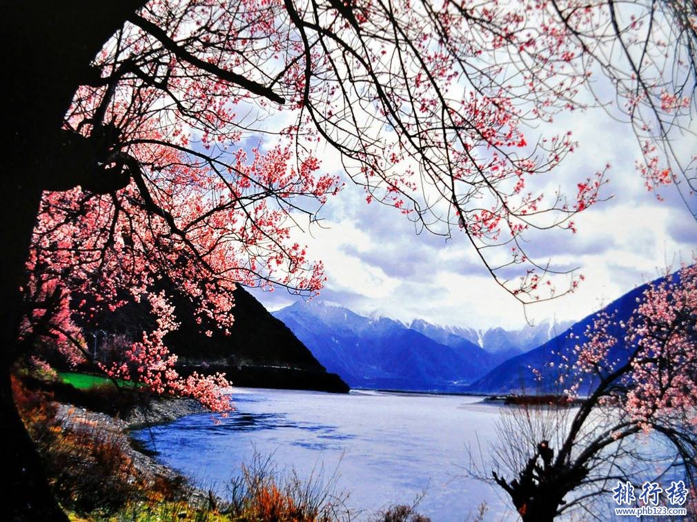 3月份适合去哪里旅游 3月份十大最佳旅游好去处插图4