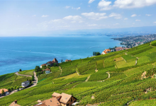 世界三大梯田：拉沃葡萄园梯田上榜，它是世界遗产|爱分享