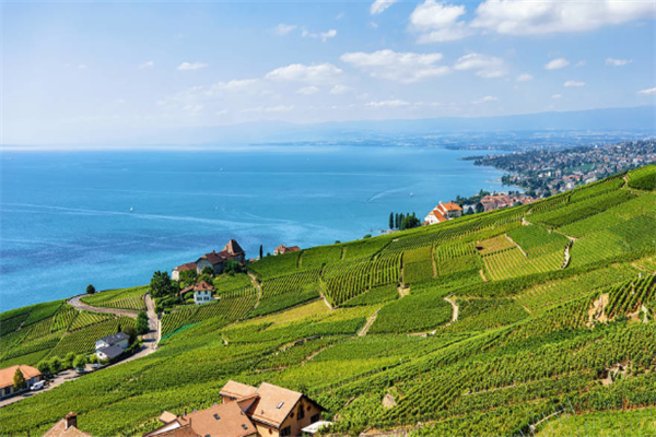 世界三大梯田：拉沃葡萄园梯田上榜，它是世界遗产插图2