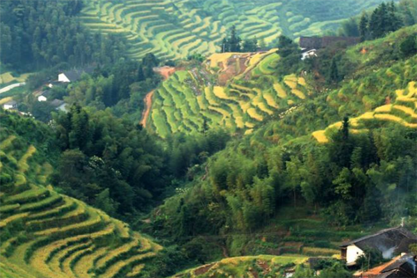 赣州十大风景名胜排行榜：上堡梯田上榜，第七是千年古村插图5