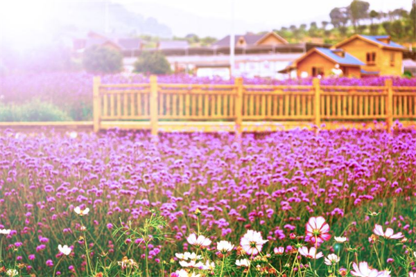 贵阳十大最美景点：天河潭上榜，它是最美山峰插图3