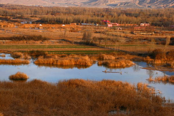 青海最好玩的十大景点，青海湖景色独特 塔尔寺艺术气息浓厚插图1