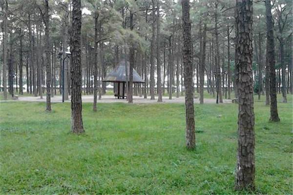 清远十大公园广场排名：第3网红农场，龙山公园上榜插图1