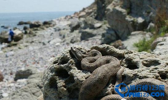 盘点世界十大匪夷所思秘境 与世隔绝匪夷所思插图1