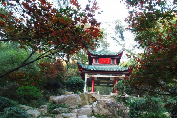 长沙十大网红景点：橘子洲上榜，它以一千多年的历史插图1