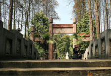 中国三大核心科学植物园：武汉植物园上榜，它的规模最大|爱分享