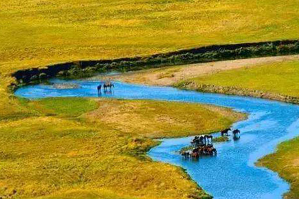 黑龙江十大旅游小镇排行榜：漠河县北极镇也可赏极光插图5