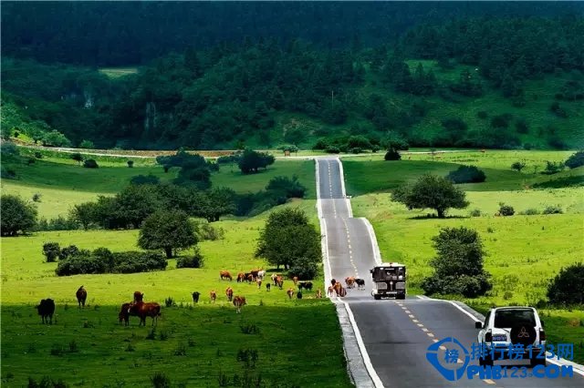 重庆最美公路在哪里？重庆最美的十条公路插图2