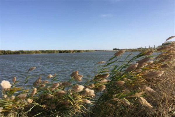 巴彦淖尔盟有什么好玩的地方?盘点巴彦淖尔盟好玩的地方排行榜插图4