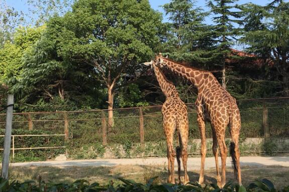 上海好玩的地方排行榜 1933老场坊竟然是宰牲场改造插图8