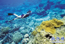全球潜水最好的地方有哪些?全球十大潜水度假胜地|爱分享