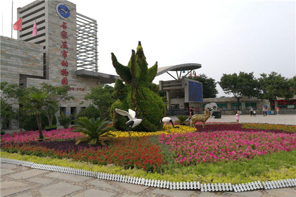 石家庄十大最受好评景点：赵州桥上榜，第一红色旅游胜地插图6