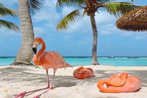 国外十大海边旅游胜地 巴哈马群岛粉色沙滩很是吸引人插图1
