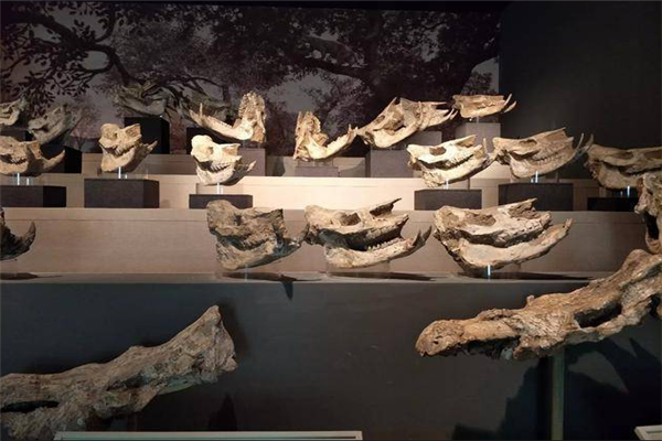 合肥十大展览馆排行榜：合肥科技馆上榜，安徽博物院仅第五插图9