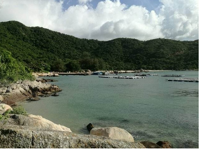 广东露营十大圣地 广东海边露营地点推荐插图8