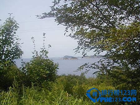 世界上最古老的十大原始森林排行榜插图5