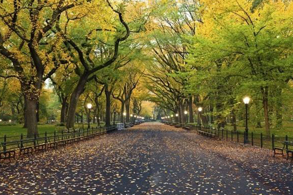 世界十大城市公园：东京的上野公园这个季节去刚刚好！插图8