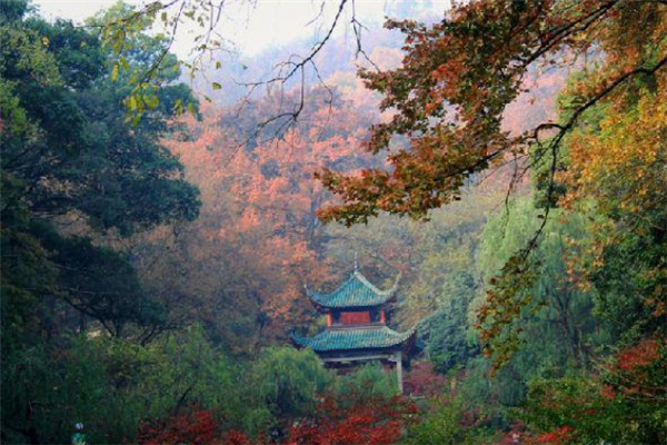 湖南十大名山排行榜：大围山上榜，第一是五岳名山插图8