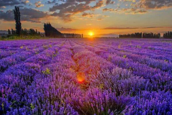 5-6月国内旅游最佳地排行榜 伊犁上榜长白山不去可惜插图